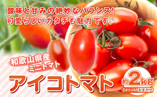 和歌山産 ミニトマト アイコトマト 約2kg SまたはMサイズ サイズおまかせ 厳選館 【配送不可地域あり】 《2024年4月上旬-5月中旬頃出荷》  和歌山県 日高川町 トマト とまと アイコトマト 送料無料