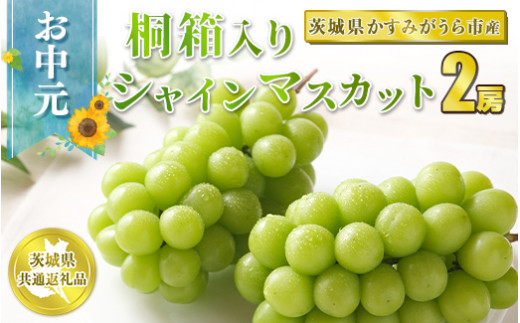 お中元 シャインマスカット桐箱入り2房 【茨城県共通返礼品 かすみがうら市】 ※2024年8月上旬～中旬頃に順次発送予定 - 茨城県守谷市｜ふるさとチョイス  - ふるさと納税サイト