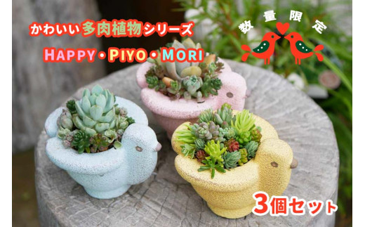 東北最大級のガーデニング専門店 厳選 かわいい多肉植物シリーズ 数量