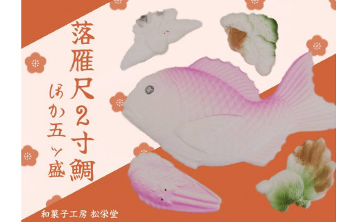 落雁尺2寸鯛ほか五ッ盛 ◇ - 岐阜県七宗町｜ふるさとチョイス