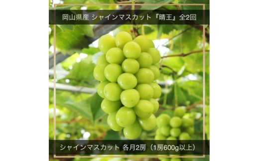 yRaCzHH-15yߘa8NEs\zVC}XJbgwxS2@@VC}XJbgiE1[600ȏj2[@ϔ