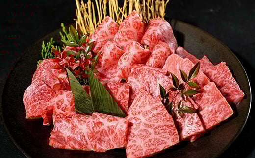 【鳥取県八頭町】鳥取和牛 焼肉用特上赤身肉