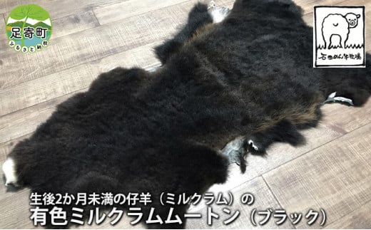 希少！】石田めん羊牧場のミルクラムのムートン（天然ブラック