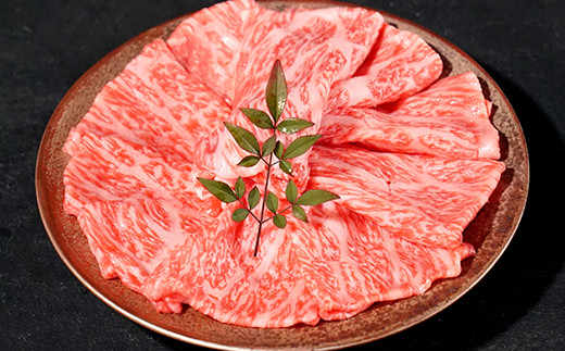 y挧za IԐg ĂEԂԗp(300g)