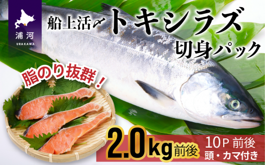 北海道日高産 漁師こだわり秋鮭みそ漬けセット(3種×60g×各6切)[15-168