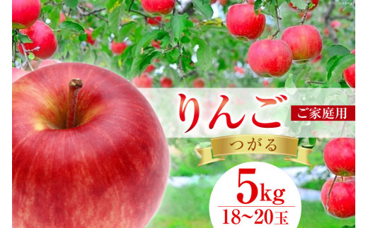 2026年発送】 【 数量限定 訳あり 】 家庭用 りんご つがる 5kg 18～20