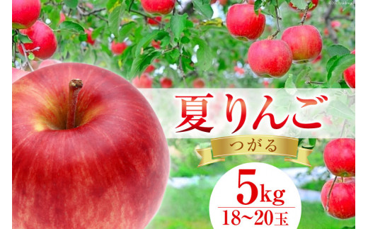 りんご　15kg  ( 1kg=8ー10個)