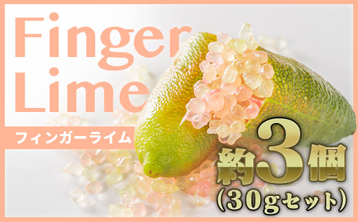 フィンガーライム ３個程度（合計30g）【FINGER LIME JAPAN公認