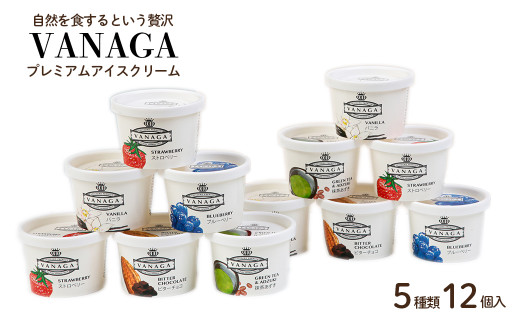 5種類のアイスクリーム12個入り［木次乳業／VANAGA］【島根県 雲南市