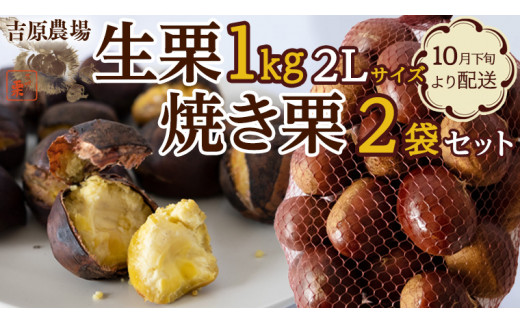 在庫無くなり次第終了！ 吉原農場 の 完熟栗 生栗 2Ｌサイズ 1kg ・ 焼き栗 2袋 セット 栗 くり クリ 熟成 秋 旬 栗ごはん 冬 正月  [CX007ci]