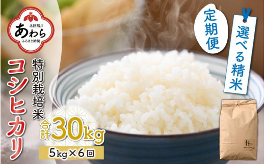 【玄米】【令和5年産新米】《定期便6回》特別栽培米 コシヒカリ 5kg（計30kg）