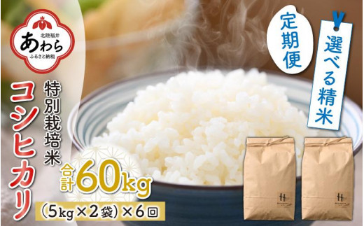 先行予約】【令和5年産新米】《定期便6回》特別栽培米 コシヒカリ 5kg ...