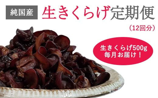 純国産生きくらげ12ヶ月定期コース - 鳥取県八頭町｜ふるさとチョイス