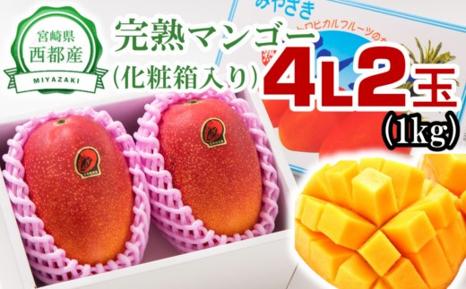 西都産完熟マンゴー 大玉4L×2 糖度12度以上 JA西都【先行予約 】＜2-45