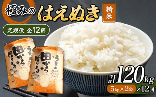 定期発送】米食味鑑定士厳選 新庄産「はえぬき」（精米）各10kg【全12