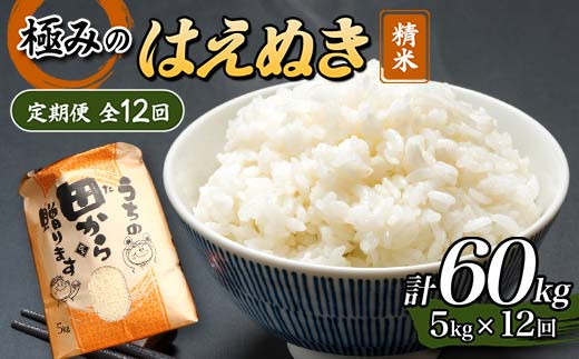 【定期便】令和5年産 極みのはえぬき 5kg（精米）全12回 米 お米 おこめ 山形県 新庄市 F3S-1697