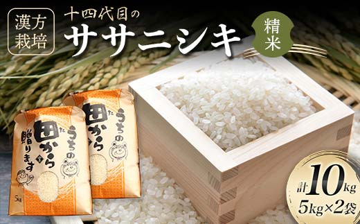 令和5年産 新米 ササニシキ 玄米３０キロ 減農薬.減化学肥料米 - 米