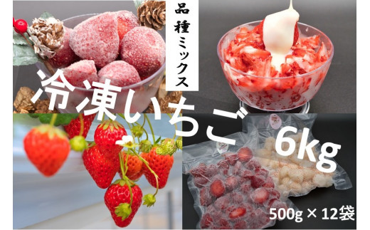 シエルファーム 冷凍いちご 品種ミックス 6kg / 苺 千葉 - 千葉県 