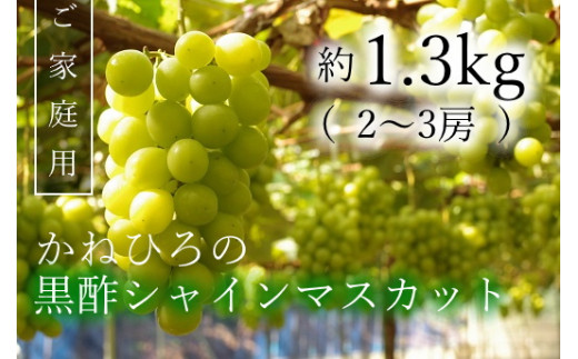 NB-26 【令和5年収穫分】かねひろの「黒酢シャインマスカット（ご家庭