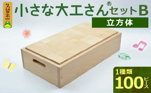 小さな大工さんセットC 積み木 100ピース 5種類 専用箱付き 立方体