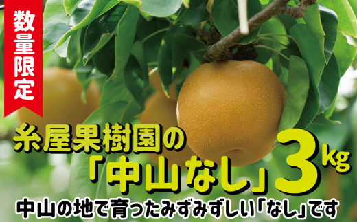 数量限定・予約受付】45P3404 糸屋果樹園の「中山なし」３kg - 秋田県