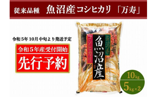 令和4年産新米魚沼産こしひかり従来品種5キロ×2食品/飲料/酒 - 米/穀物