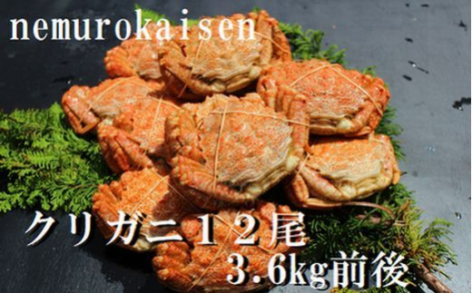 【北海道根室市】D-57030【12/21まで年内配送】 【北海道根室産】クリガニ12尾(計3.6kg前後)