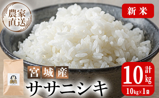 ササニシキ白米２０ｋｇ令和２年産