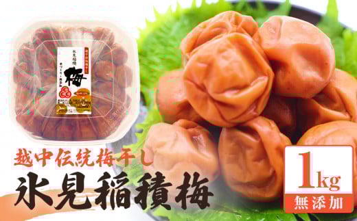 〘激安〙★[ 8kg ]　大粒富山稲積梅　【 A級B級ブレンド品 】 富山県氷見市発祥の稲積梅（いなづみうめ）を原料とした加工品を