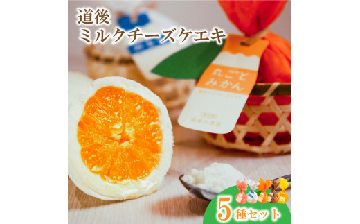 オクタス チーズケーキ｜水・焼酎の財宝オンラインショップ