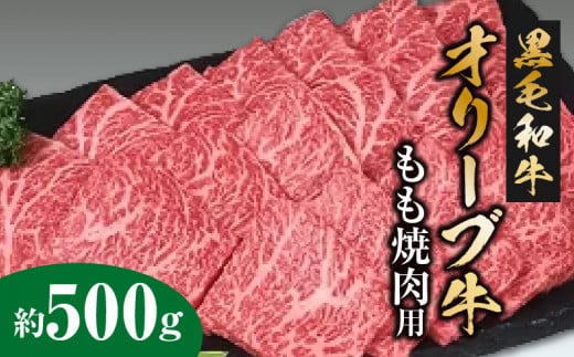 y쌧OLszyӂ邳Ɣ[Łz јa I[u ēp 500g  [ ] Ă Ԃ ē LO uh    Y ꉟ   ؂藎