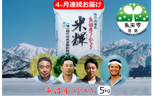 yVsz[5762-0490]VF؁yʍ͔|āzYЂ@5kg@4A͂