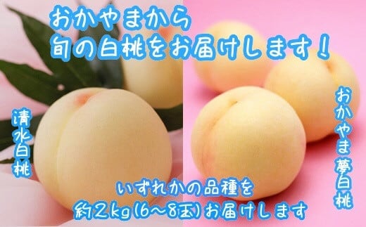 yR}sz  R 2kg 6`8  RY R̓ ܖ  ܂ uh { ʕ t[c Âs7{-8{oׁtmȔ_