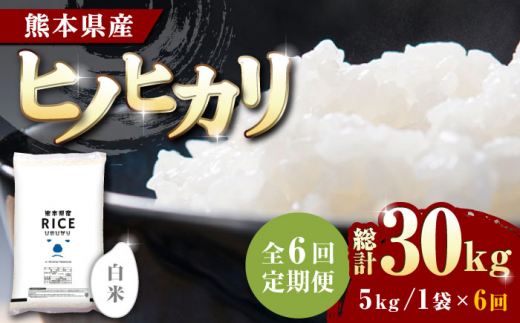 全6回定期便】 ヒノヒカリ 無洗米10kg【有限会社 農産ベストパートナー