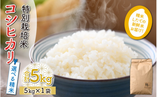 コシヒカリ　新米　精米　白米　玄米