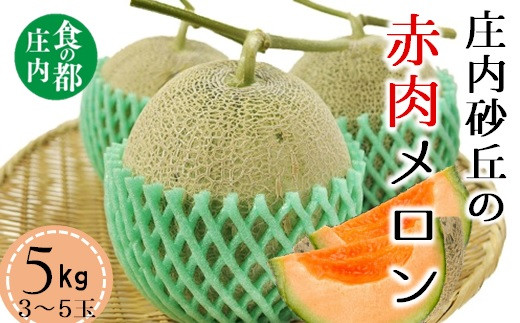 ふるさと納税 メロン 山形県 三川町 先行予約 食の都庄内　 令和7年産 庄内砂丘のアールスメロン2玉　 令和7年8月中旬頃より発送予定 食の都庄内 令和7年産庄内の青肉＆赤肉メロン（1玉ずつ） - 山形県