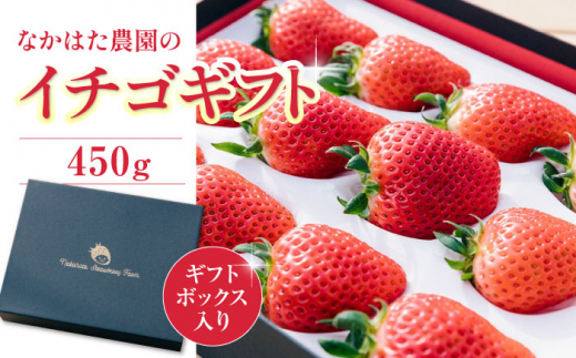 数量限定】ギフト 特選 いちご 450g ( 9-15粒 ) 農園直送 産地直送