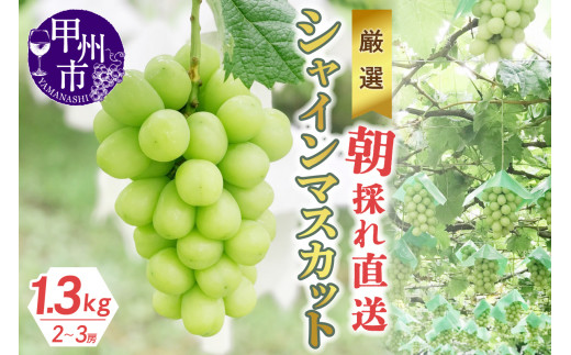 17% シャインマスカット【箱抜き4kg 】 - 果物