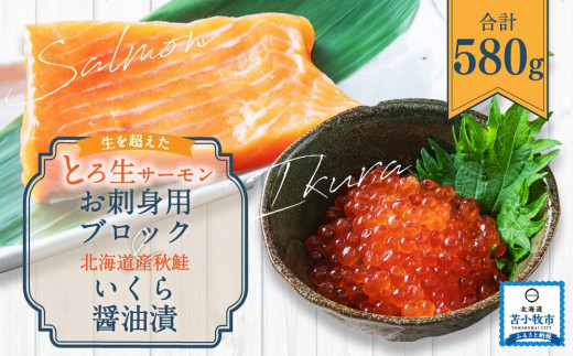 生を超えた「とろ生サーモン」と 北海道産秋鮭 いくら醤油漬 セット 計