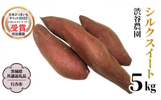 y錧szVNXC[g 5kg (錧ʕԗi^ss) 2025N11甭Jn aJ_ ܂   Ă [DT009sa]