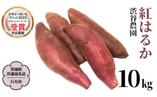 y錧sz2025NxY g͂邩 10kg y錧ʕԗi^ssz aJ_ ܂   Ĉ [DT002sa]