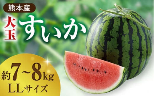 【先行予約】【数量限定】大玉 すいか Lサイズ【株式会社 前田