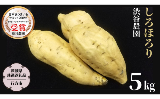 y錧szق 5kg (錧ʕԗi^ss) 2025N11甭Jn aJ_ ܂   Ă [DT011sa]