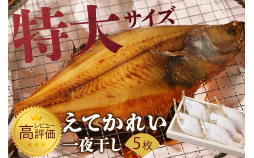 サンプル写真