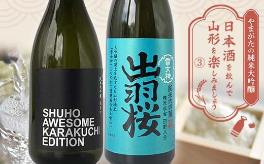 やまがたの純米大吟醸 「日本酒を飲んで山形をたのしみましょう」≪3≫ F2Y-3553 - 山形県｜ふるさとチョイス - ふるさと納税サイト