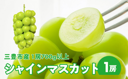 M67-0012_【2023年出荷分】【先行受付】【数量限定】三豊市産 1房700g