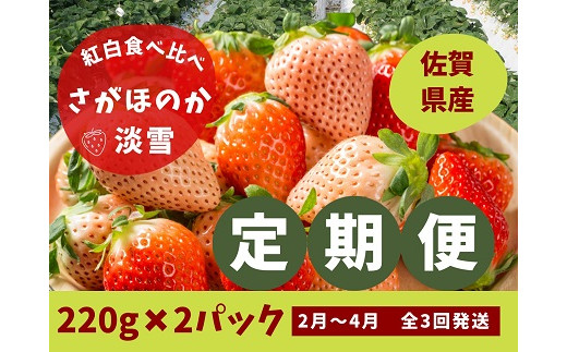 定期便3回】佐賀県産 紅白いちご食べ比べ 2~4月発送：B030-022 - 佐賀