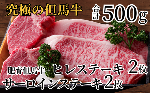 【但馬牛 肥育牛 サーロインステーキ 300g ヒレステーキ200g 合計500ｇ 但馬牛の最高級ステーキセット 冷凍  産地直送】発送目安：入金確認後1ヶ月程度 配送日の指定はできません。日本の黒毛和牛のルーツは香美町にあり 大人気 牛肉 ステーキ しゃぶしゃぶ  すき焼き 焼肉 ブランド 和牛 但馬