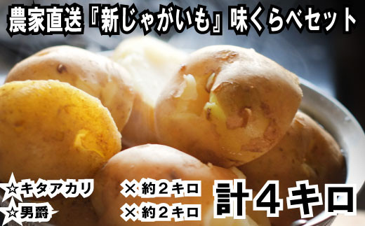 Z146.【2023年夏季限定】立花山で育てた「新じゃがいも」味くらべ