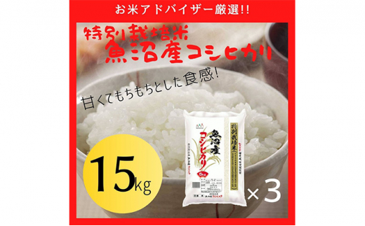 №5762-0702]【令和4年産】『お米アドバイザー厳選！』魚沼産コシヒカリ